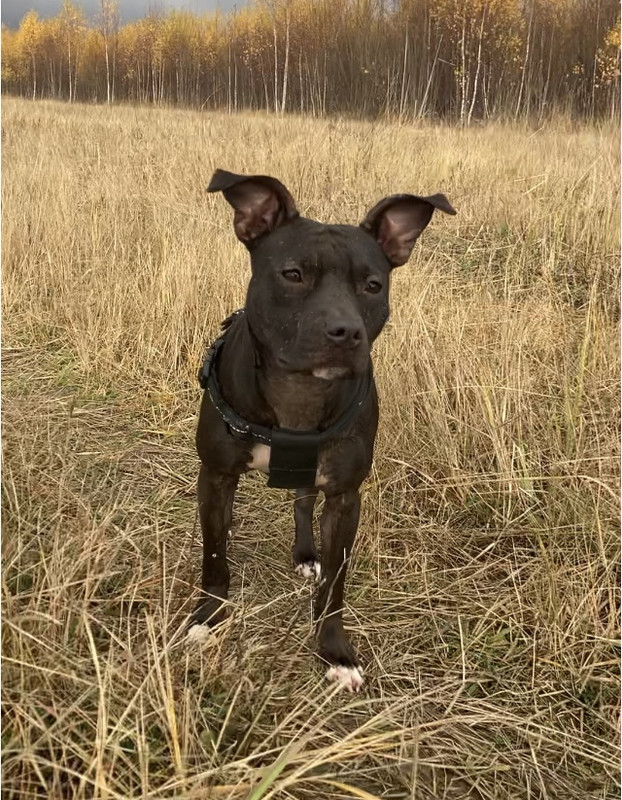 91358BD7-0EDB-44DB-B82F-C536B79D83AE