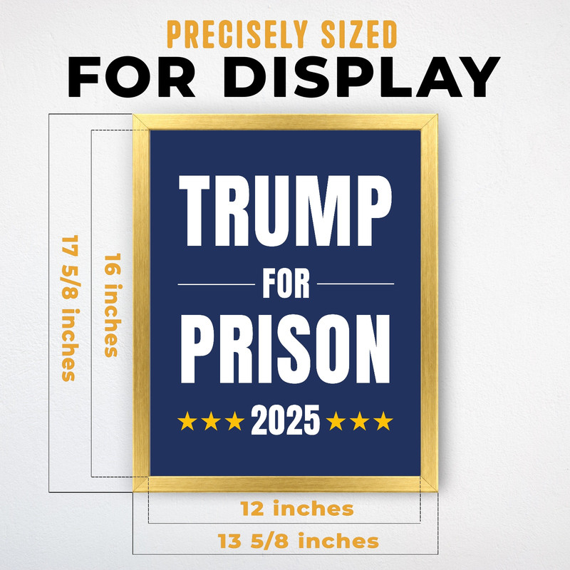(IP000981C) Trump for Prison