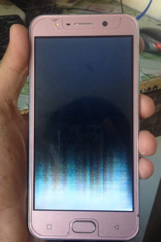 43706042_568708806914536_8201135065531416576_n