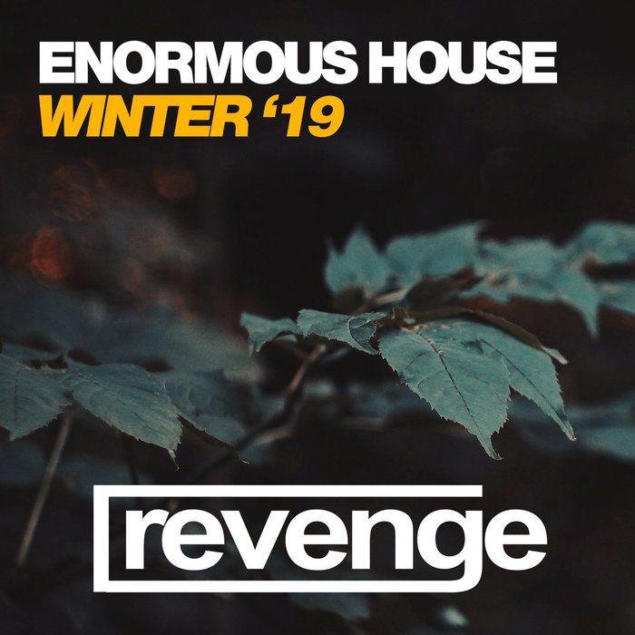 VA - Enormous House Winter 19 (2019) .mp3 -320 Kbps