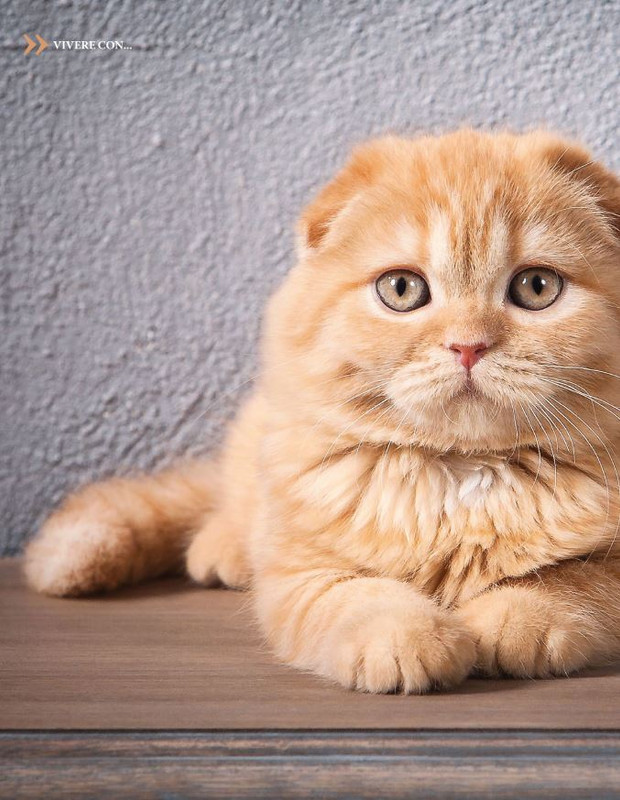 Argos Ago-Set 2022 (11)