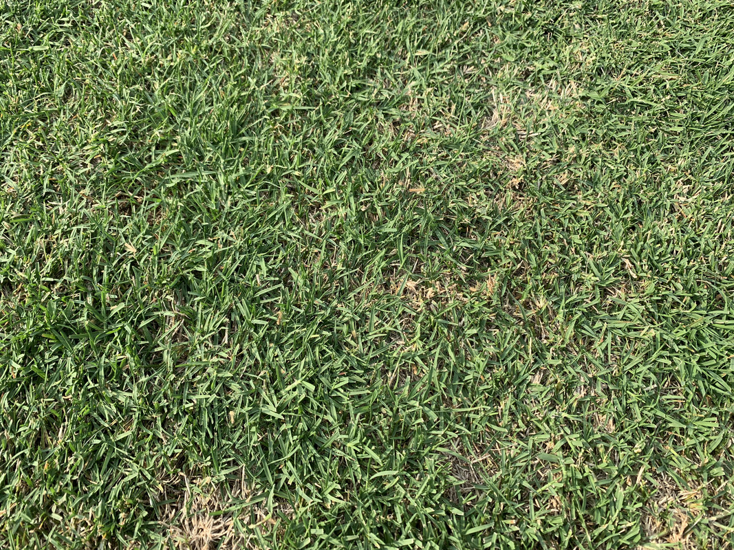 DE820A3A-6C1E-4CED-8DD9-9337EBB5031E