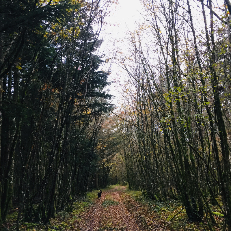 B0F90C4C-3A85-4C1E-B377-4DCF2E87C981