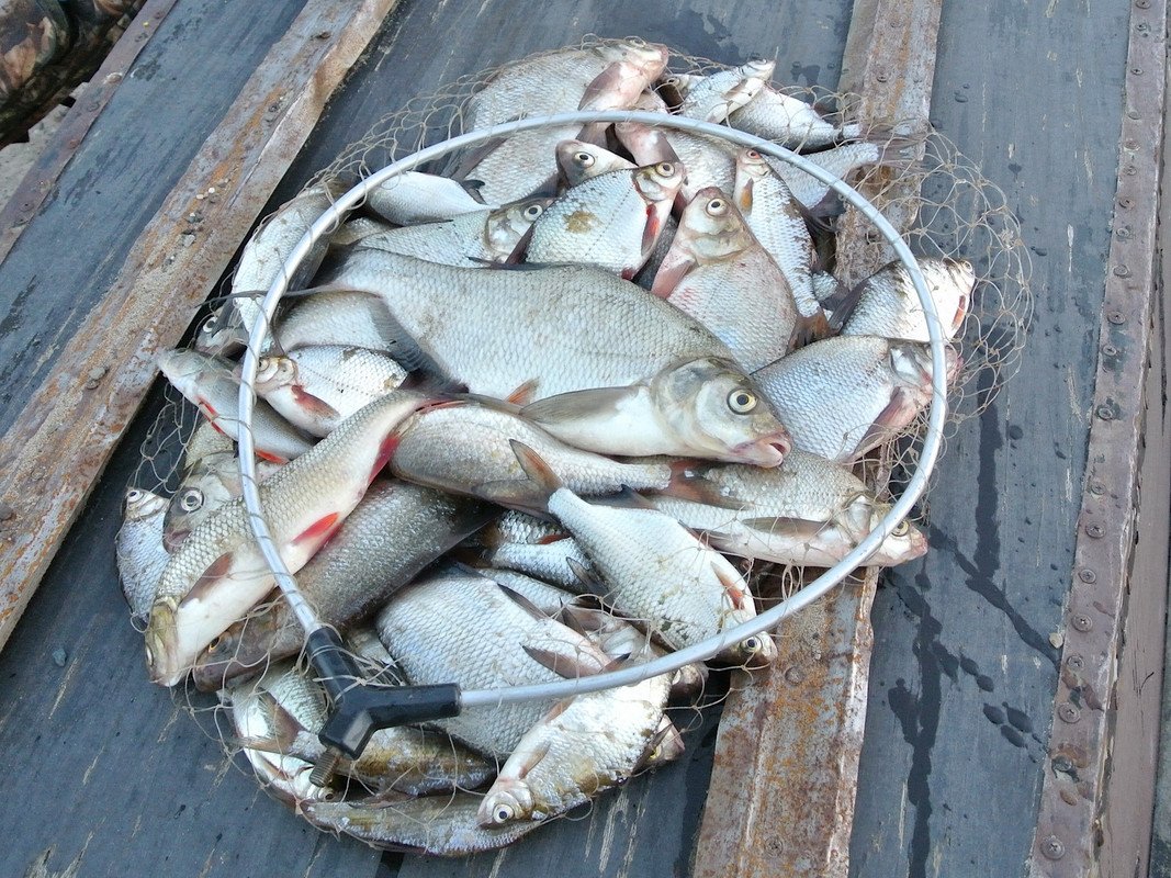 Крест 23.07.14 05