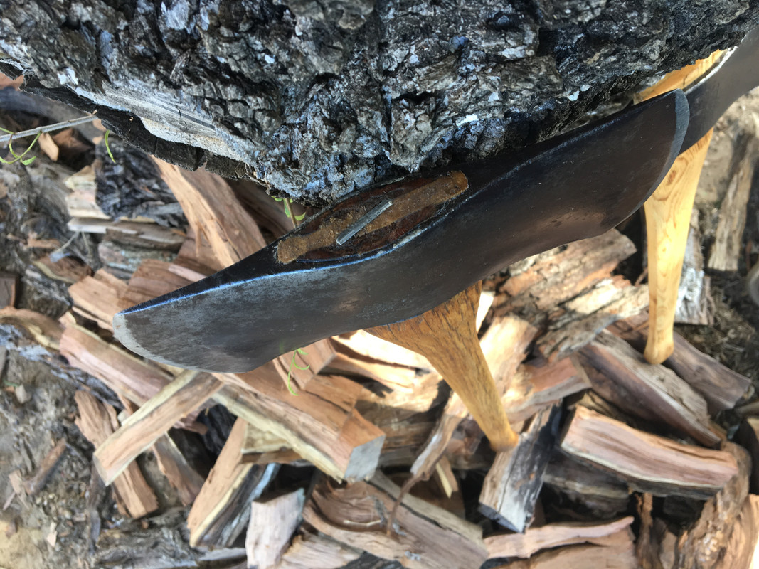 C5E8193C-CCC2-48F0-A5D9-1FE98B822461