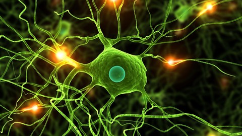 Data Science: Deep Learning and Neural Networks in Python | Udemy
