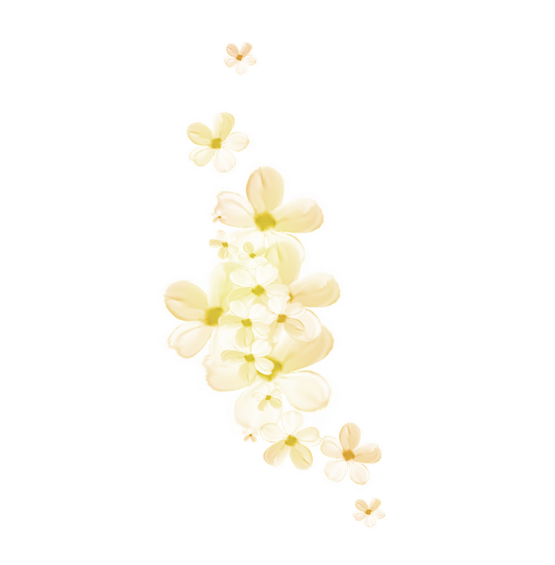 Maguette_NothingFades_el (14)