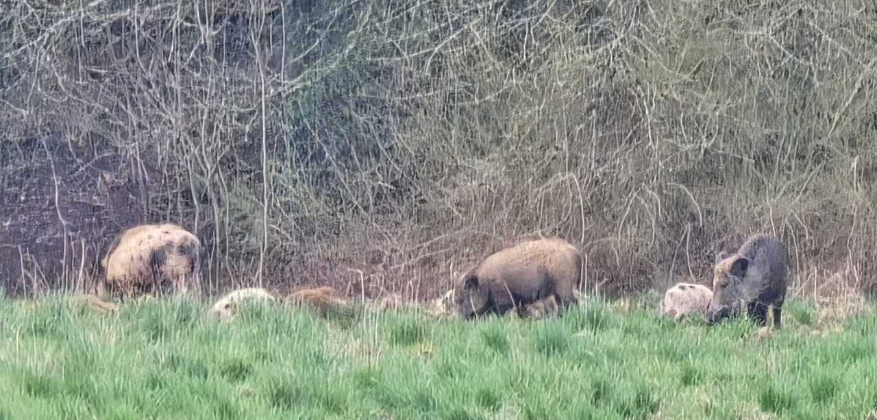 IMG-20250401-WA0000(1)