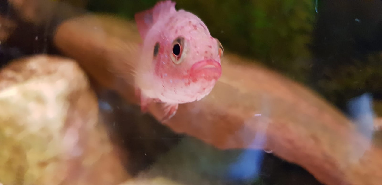 WhatsApp Image 2018-07-19 at 17.25.00 (1)