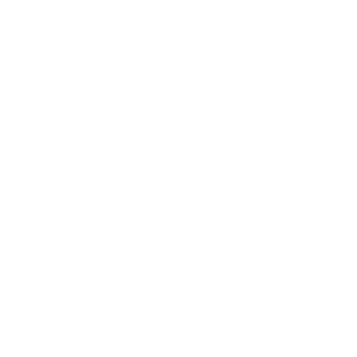 Client logo 11