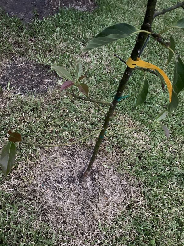 2F764E13-F1AC-4135-8EAA-8FDA75A4B7BC