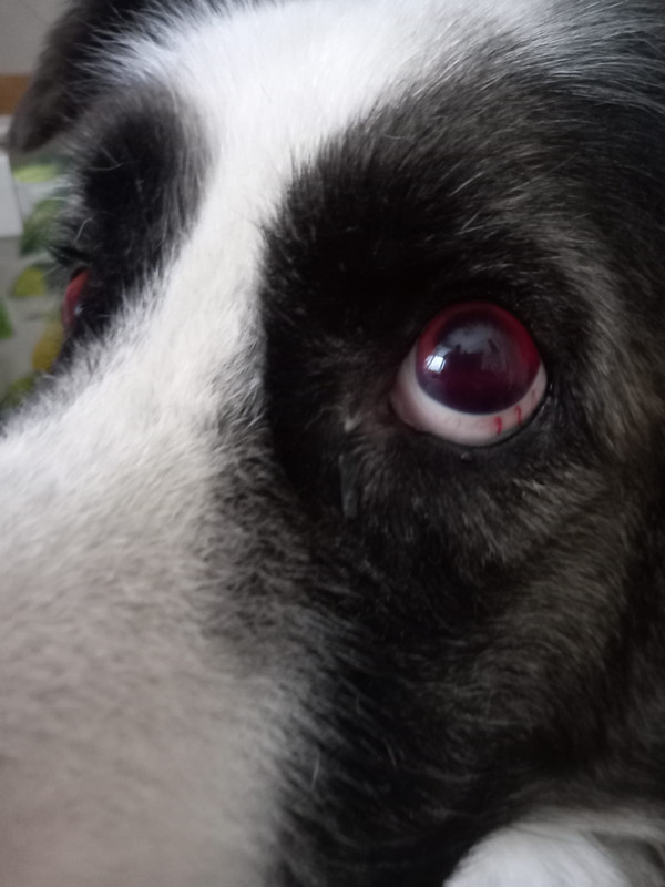 12ED3718-574A-472A-AACD-0FA454DA1E51