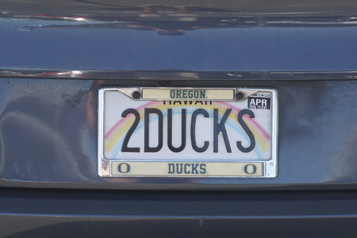 (USA) HI_A2DUCKS closer view