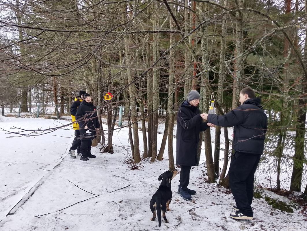 e699d474-2e00-4026-be9c-a54ae3400165