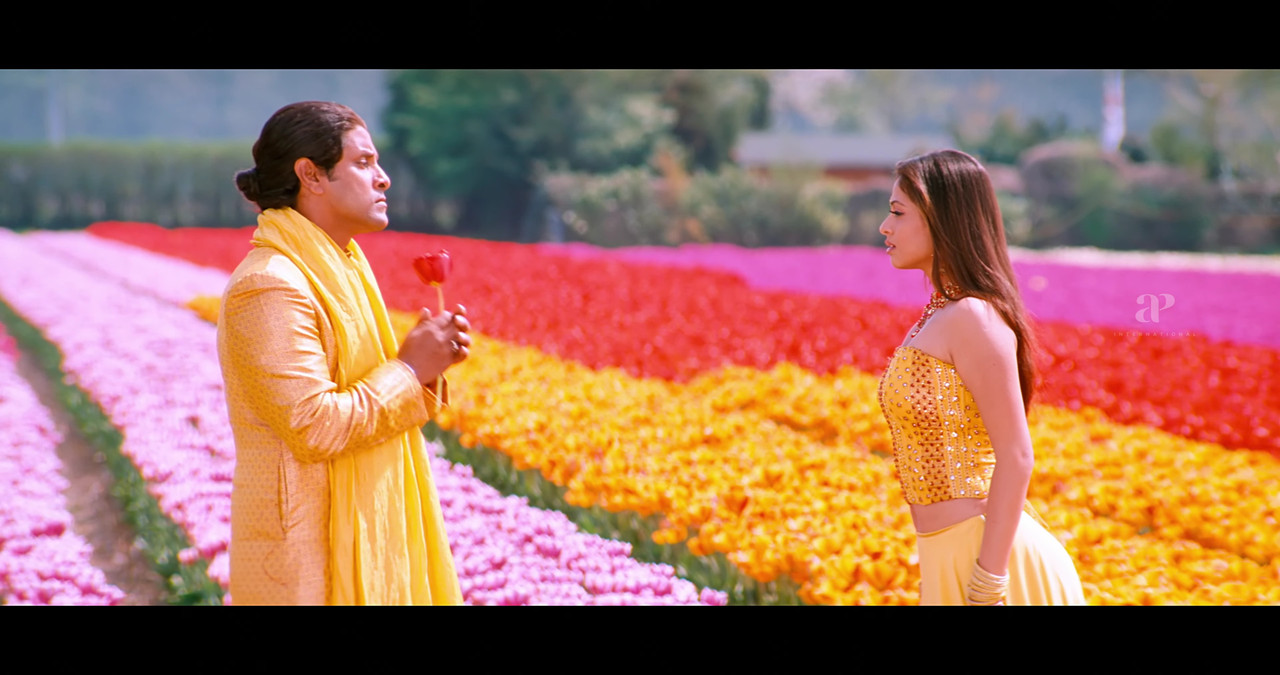 VideoCapture_20241122-200132