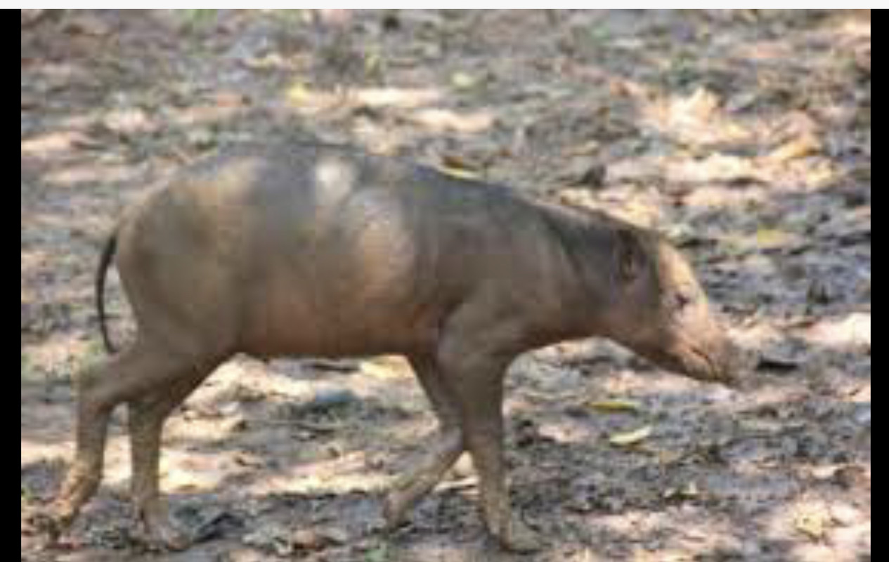 0362D88D-11EC-48C0-B908-D12763FDC266