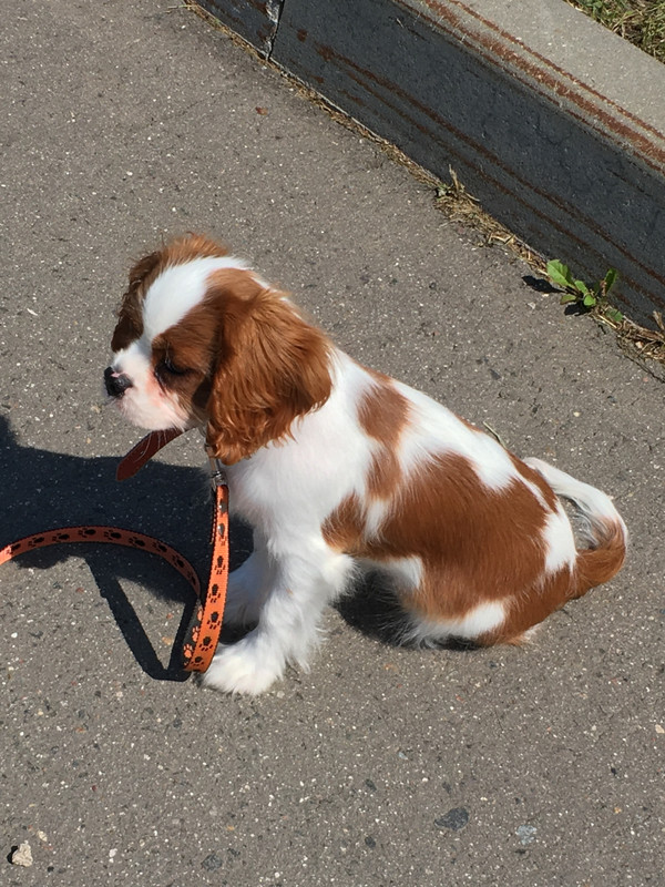 8A1E413B-8335-4F2D-A14F-D0822B950407