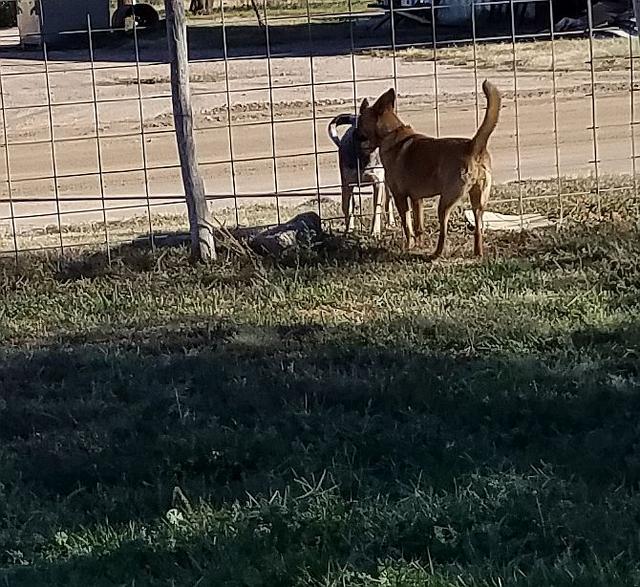 [Image: 02-Meet.jpg]