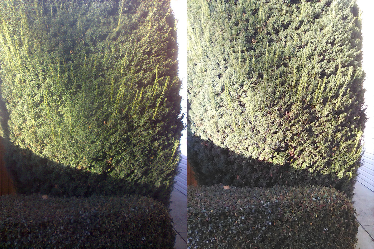 [Canada] Tried my new phone for a whole hour! : r/dumbphones