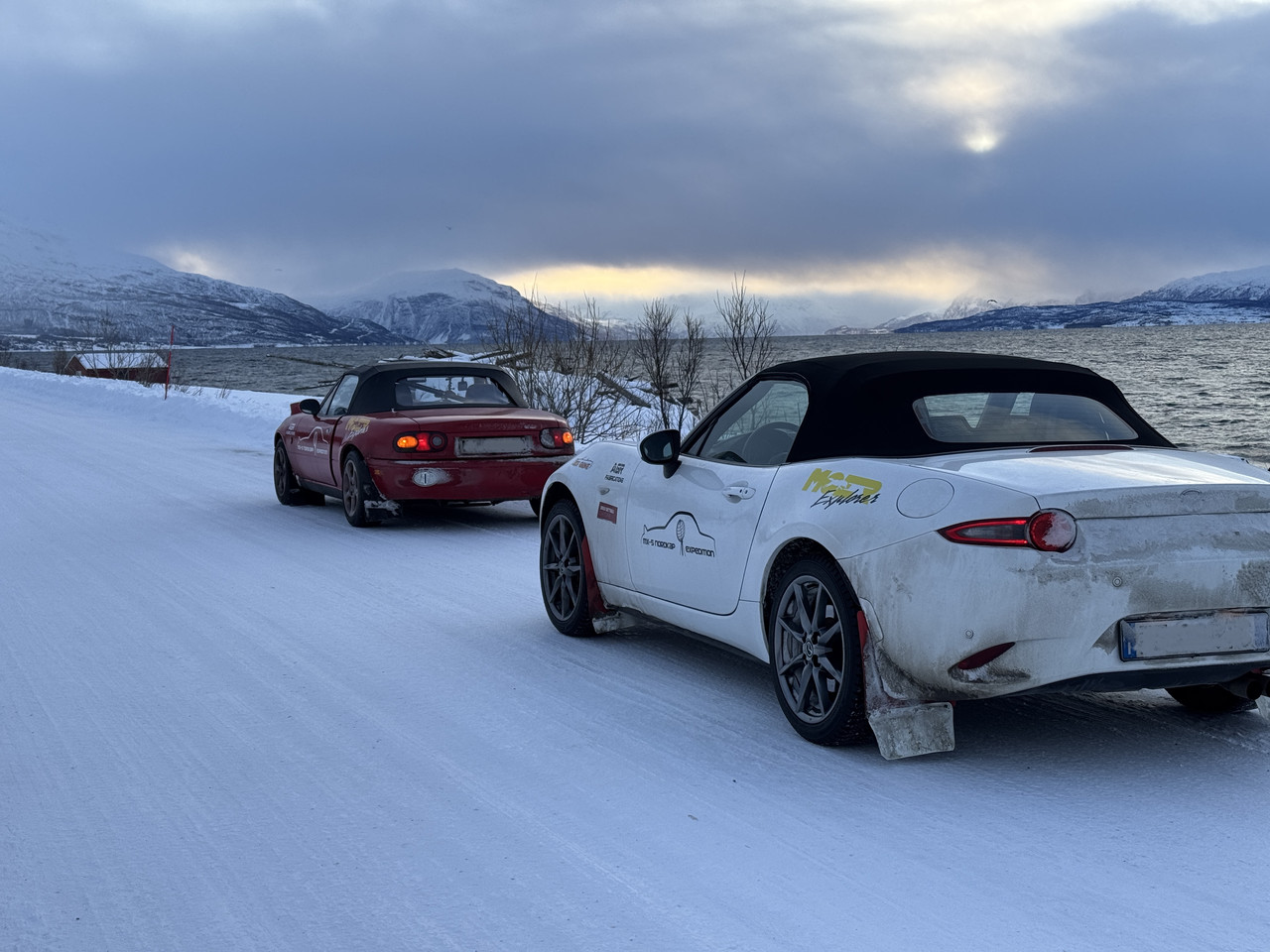 [Immagine: IMG-7945.jpg]