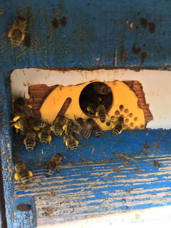 F9A1D5B8-B2B8-493E-9102-A0CED99BB667