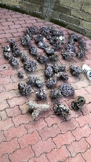 97C81F7F-FCBC-4E0F-B251-0BA85EAFB625