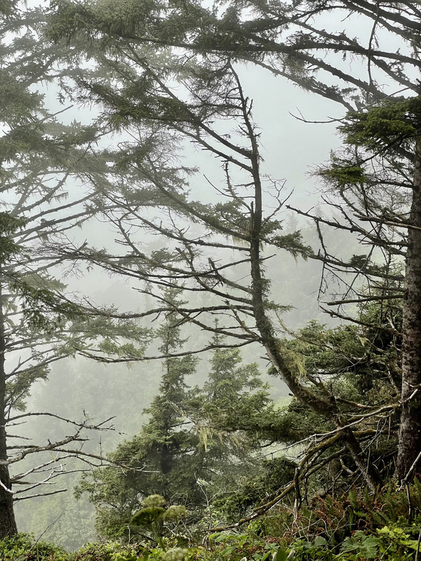 C042BFBC-389F-401F-B254-0868855C8FB8