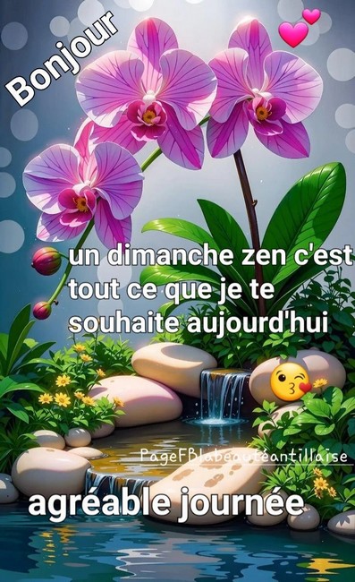 812c69793e0c7bf37098589077eb27fc
