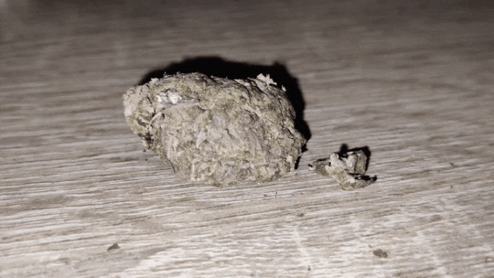 GIF-20250615-083620-095.gif