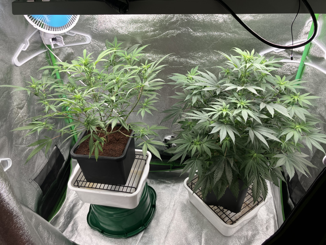 29EAF3C2-F765-42C8-9A1C-F643E0FE8F58