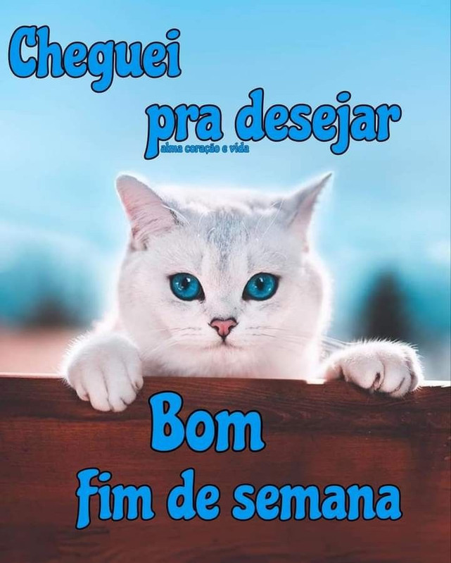 e3687ba8d8afc0a3dab33849b5fee609