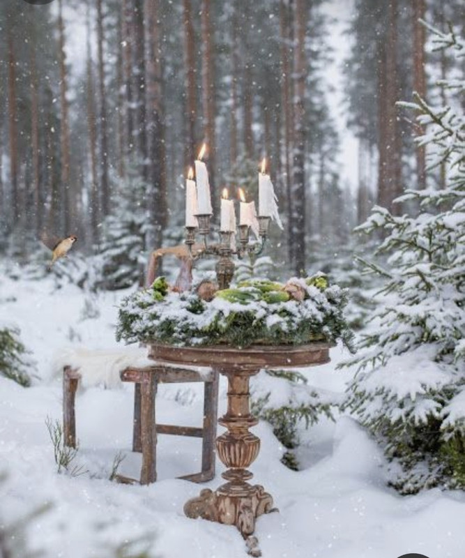 Screenshot_20231221_214011_Pinterest