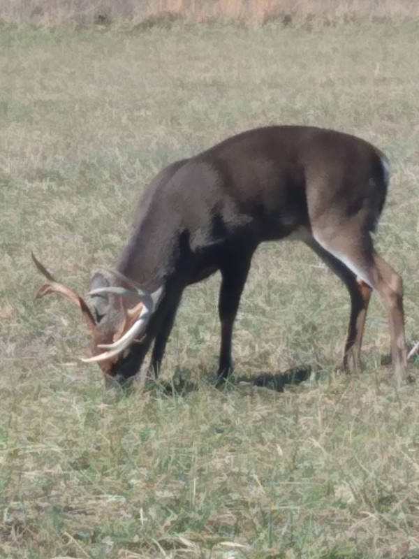 IMG_20211222_123736456