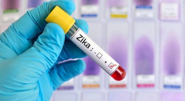 zika-virus.jpg