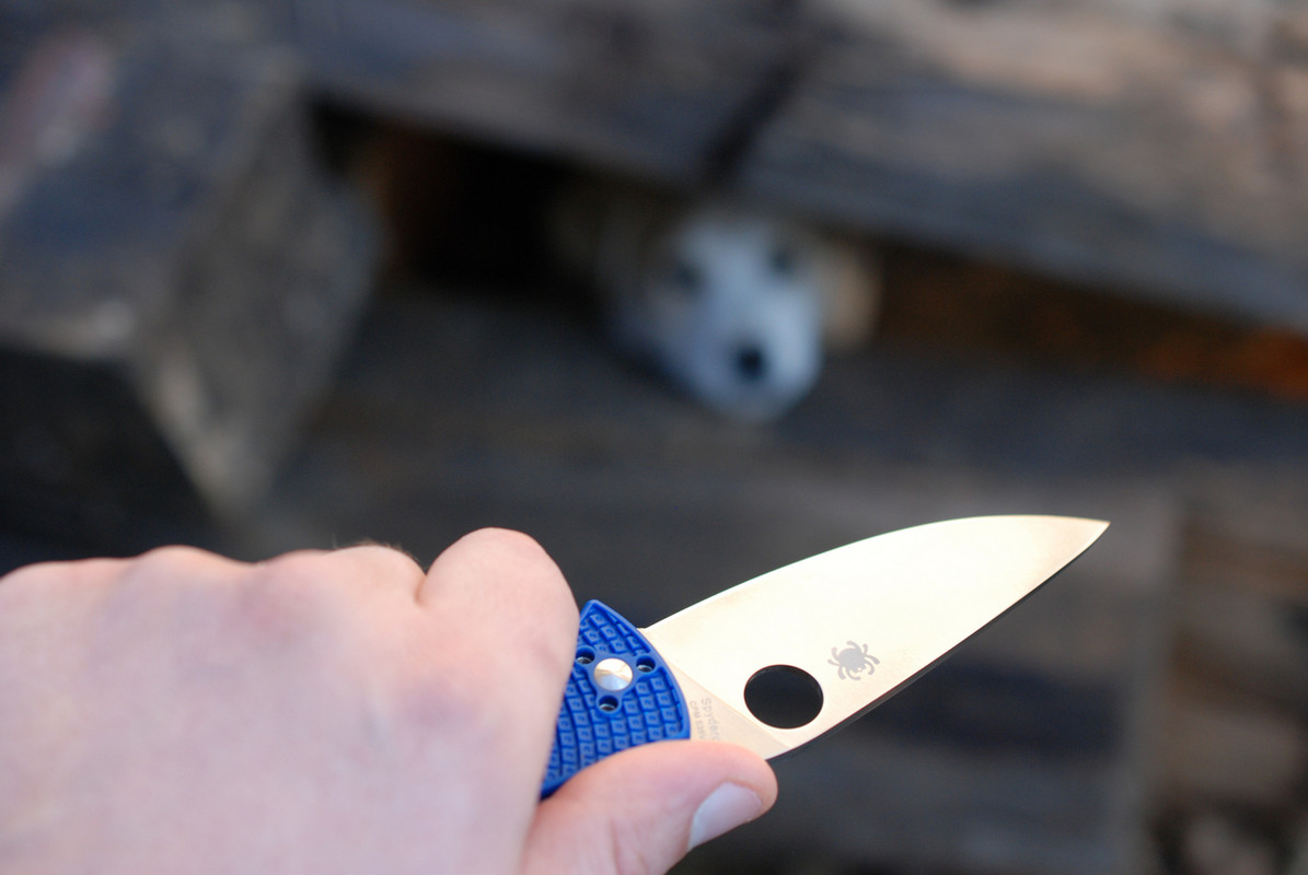 Spyderco-Ten-s35vn (34)