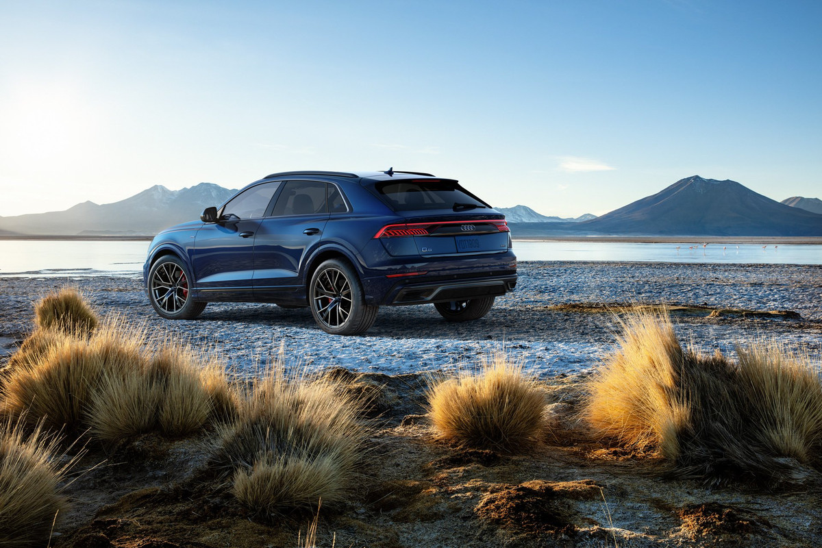2019 Audi Q8 (28)