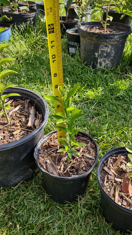 photo_2025-07-23_09-30-07 (10)