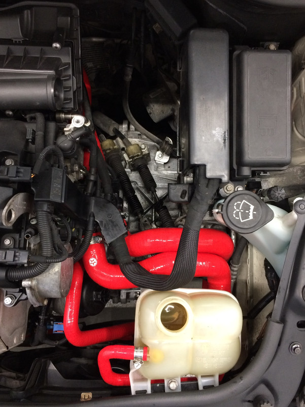 D129B9B0-9FDF-4C85-8987-B96153CB9C9F