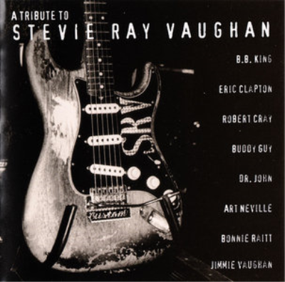 VA - A Tribute To Stevie Ray Vaughan (1996)