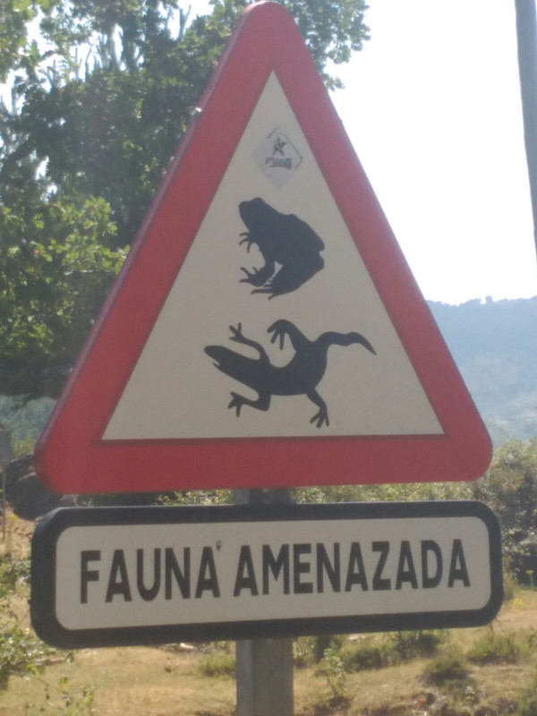 Fauna amenzada (II)