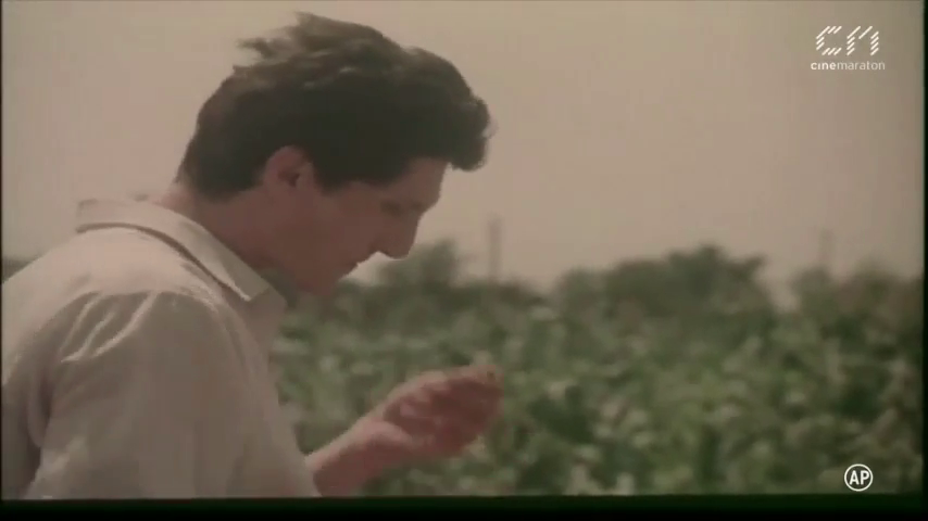 Umbrele Soarelui 1986 WEB DL ExtremlymTorrents