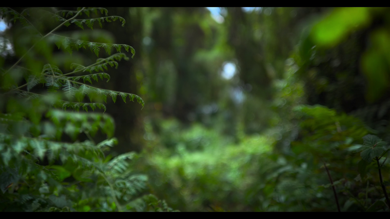 vlcsnap 2026 04 17 10h00m53s031