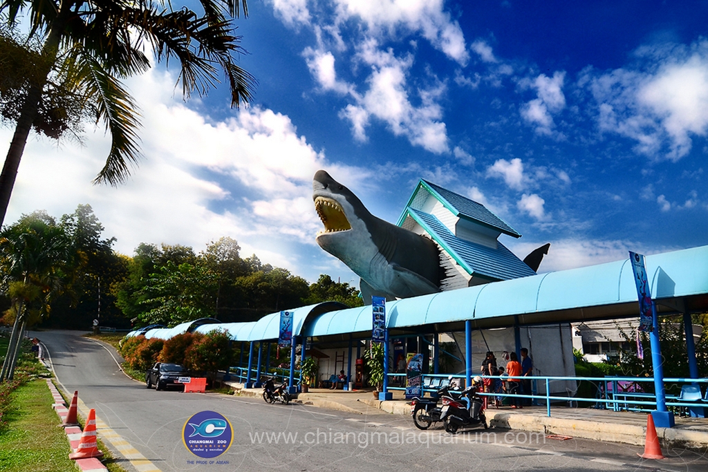 Chiang Mai CM Aquarium World’s Longest Tunnel Aquarium SkyscraperCity