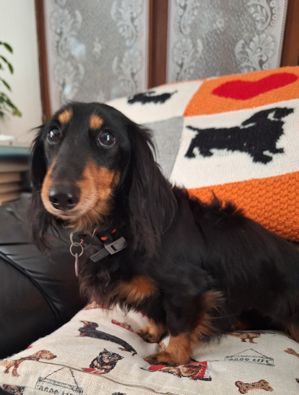 [Image: 20241023-132540.jpg]