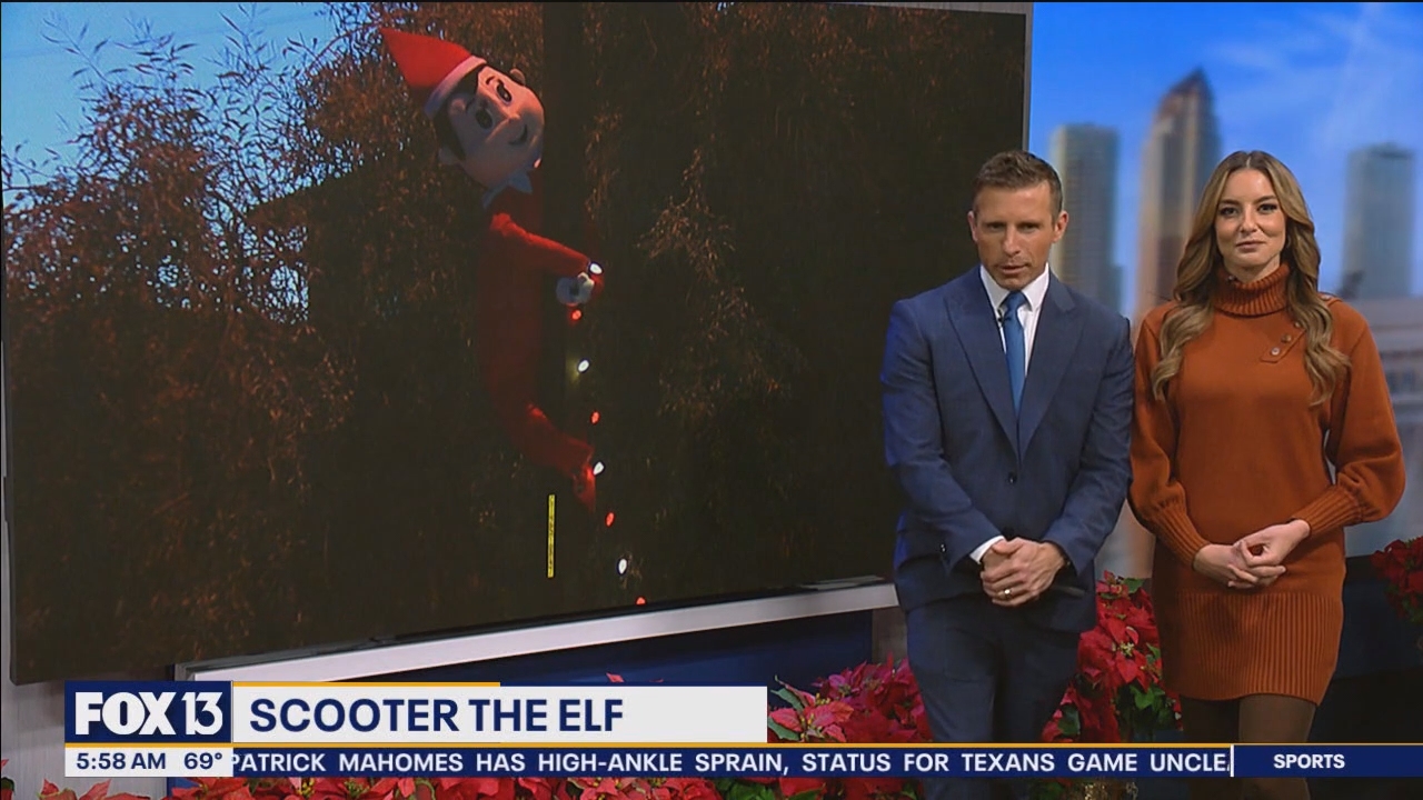FOX13s Good Day Tampa Bay 530A_20241217_10301100.ts_snapshot_29.42.577