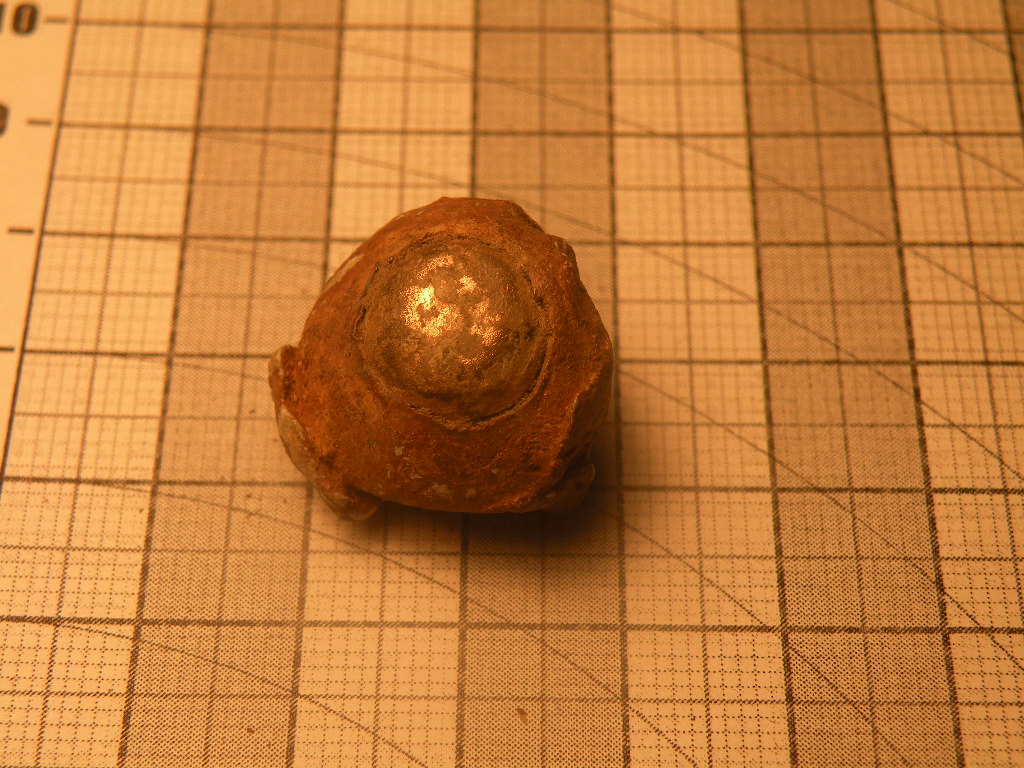 DSCN2366