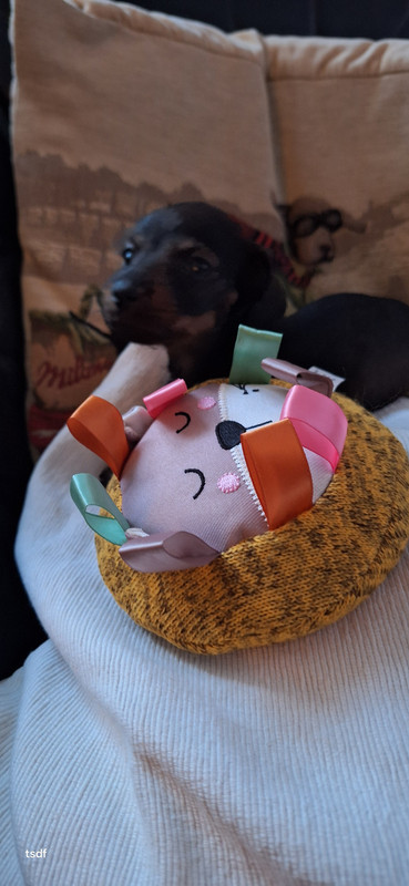 [Image: 20250518-204923.jpg]