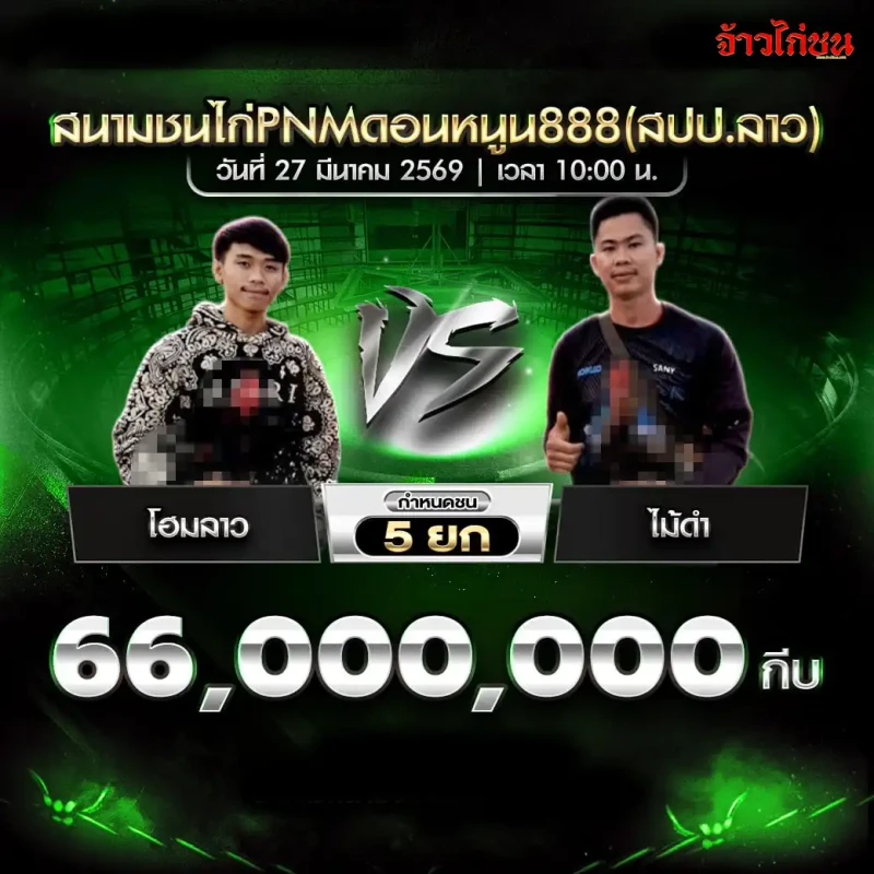 โปรแกรมไก่ชน โฮมลาว vs ไม้ดำ สนามชนไก่ PNM ดอนหนูน888