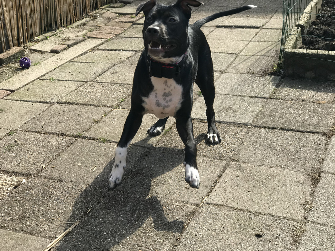 196C207C-7054-4F7F-B9B6-A999D91F67E4