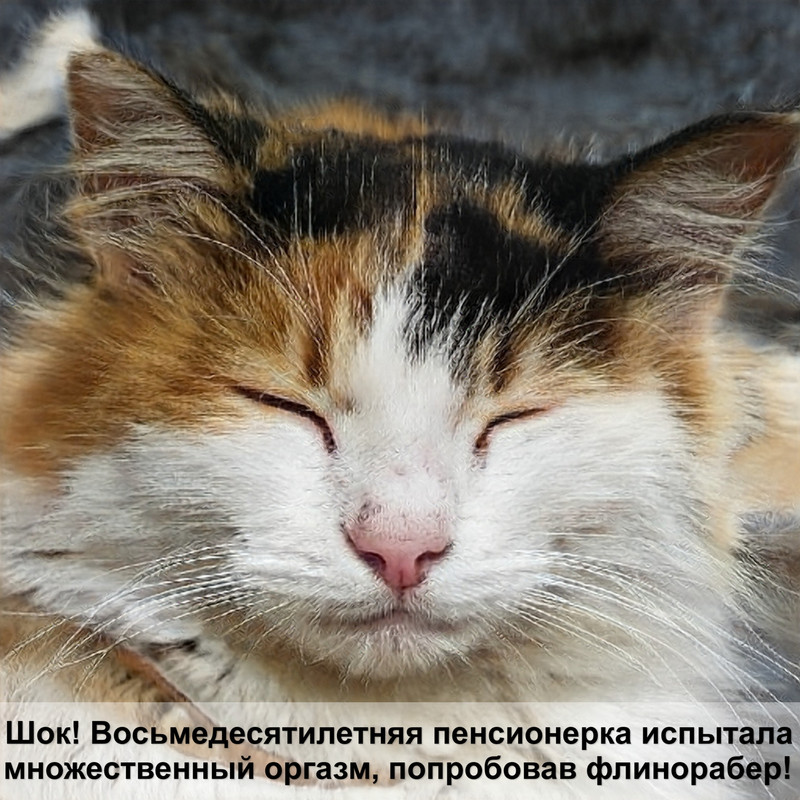 у кошки выпала шерсть